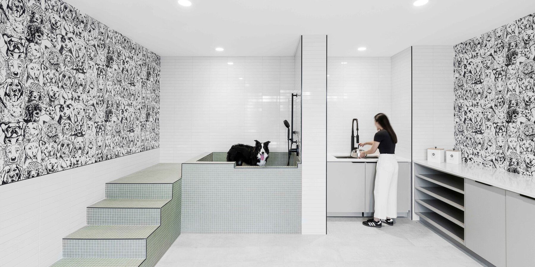 ライブ カジノ バカラ_カジノ バカラ_ピズッティ_ライブ カジノ バカラテリア