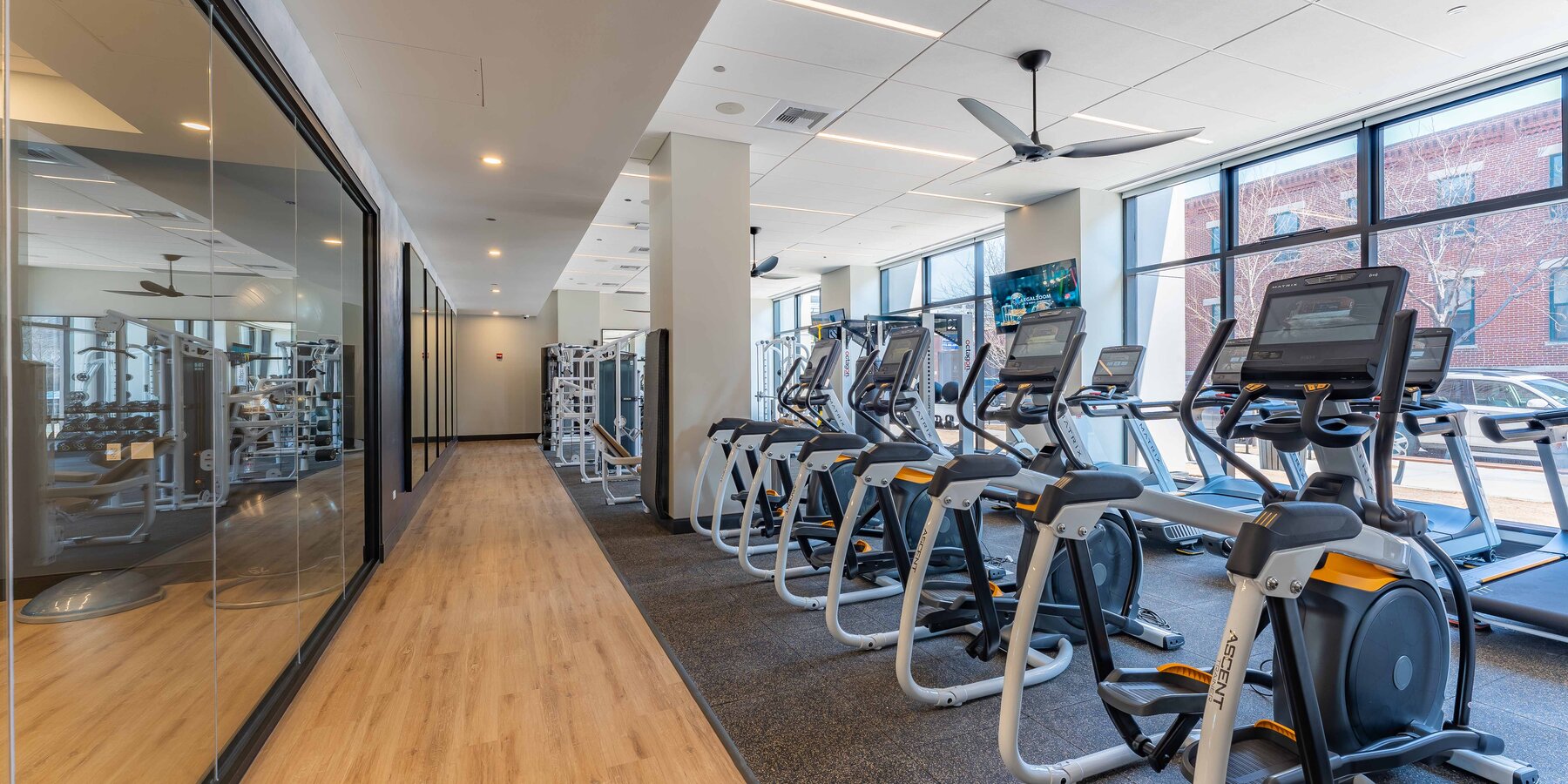 ボンズ カジノ バカラ ラボ フィットネス