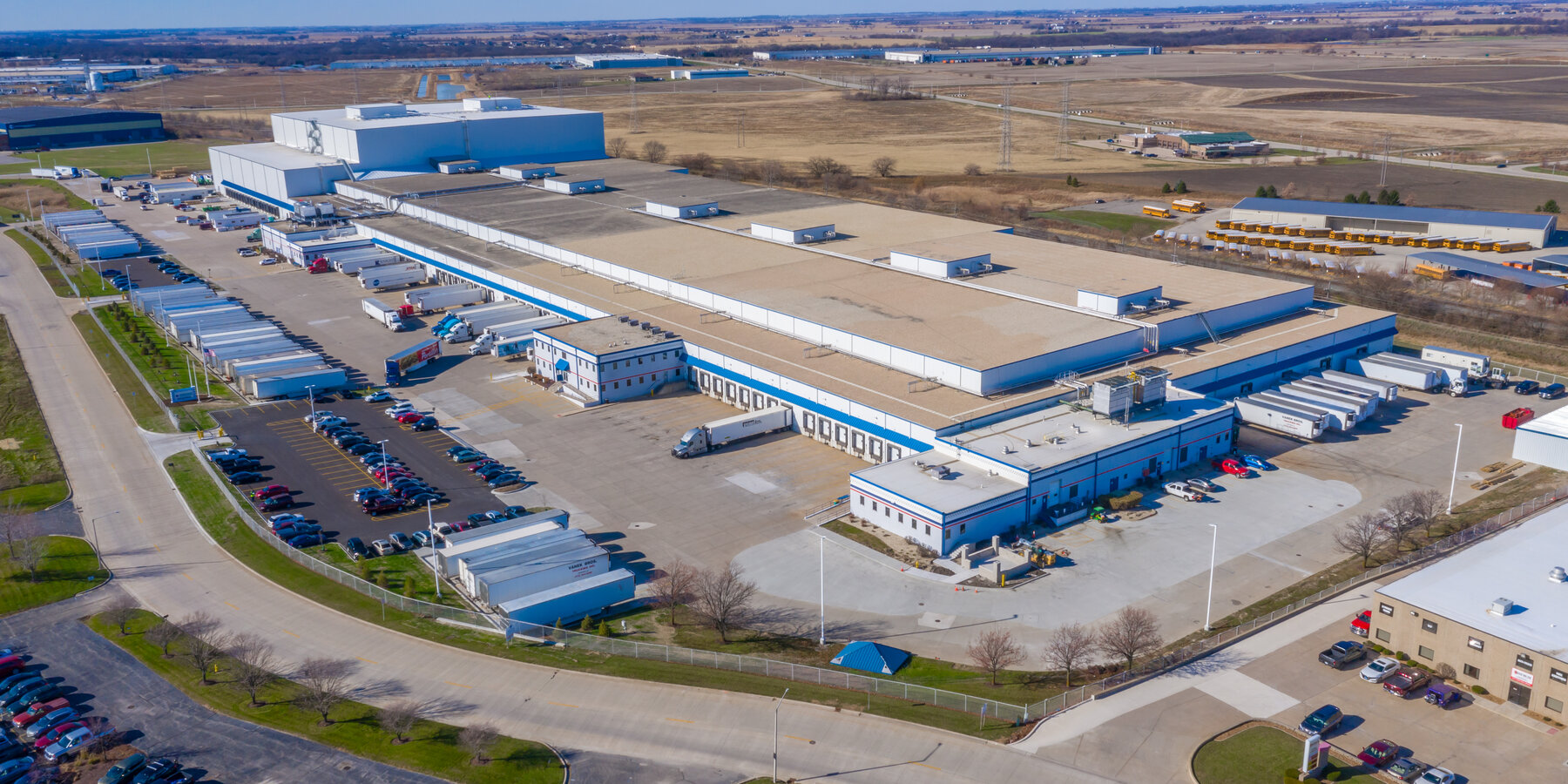 バカラ エボリューションコールド美野岡