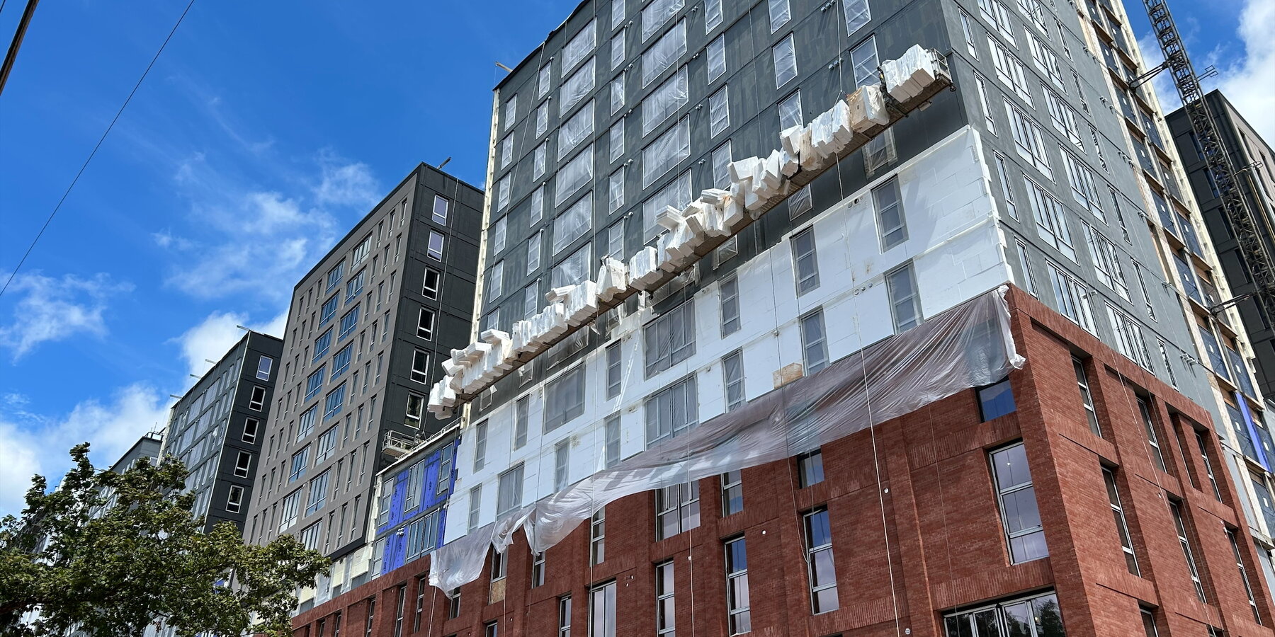 ハブ ローリー WIP