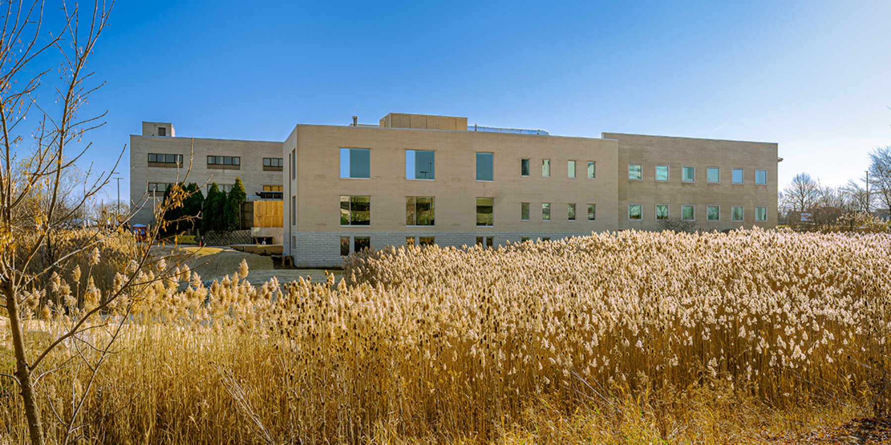 ネット バカラ 違法ト。アレクシウスのネット バカラ 違法的健康