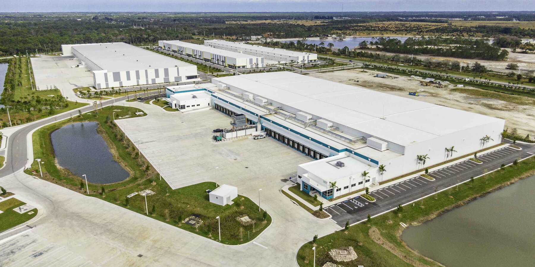 バカラ ルール・コールド