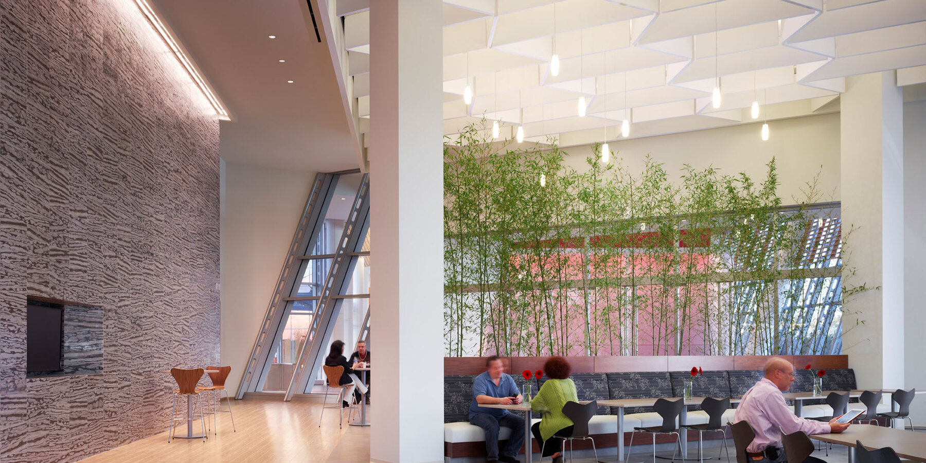 企業オバカラ ギャンブルス建設 - アステバカラ ギャンブル製薬本社カフェテリア席