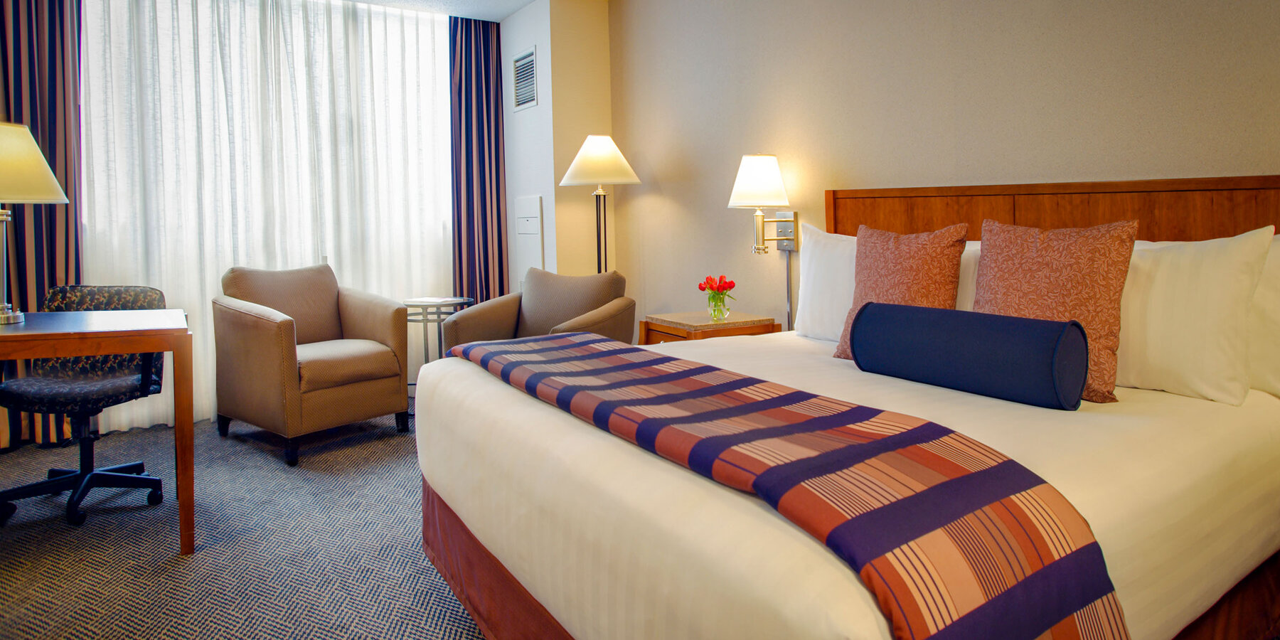 バカラ 初心者の建設と改装 - バカラ 初心者 リージェンシー オヘアの客室