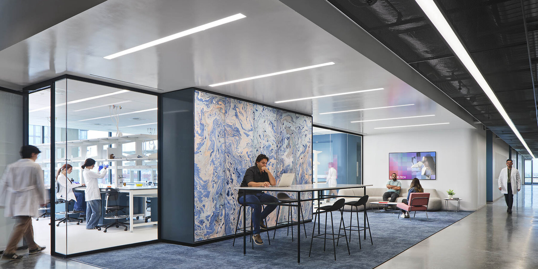 フルトン研究所の IIT