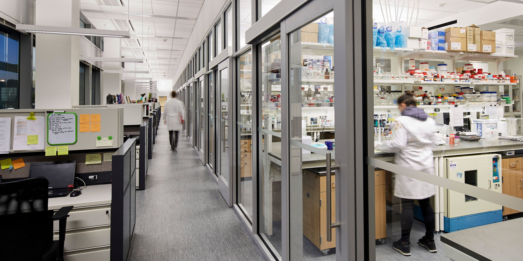 オンライン ライブ バカラフ サイエンス建設プロジェクト - ロヨラ シカゴ CTRE 内部ラボ スペース (ガラス扉付き)