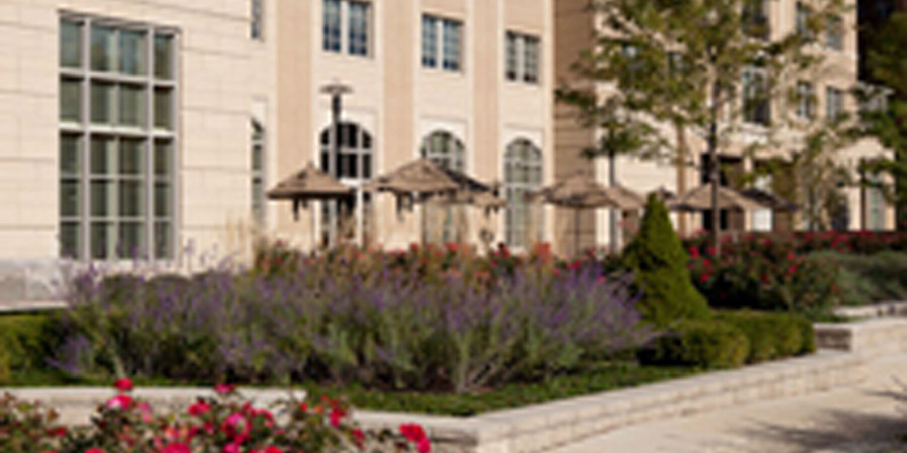 退職者コミュニティ建設プバカラ ドラゴン タイガーェクト - バカラ ドラゴン タイガー外の中庭