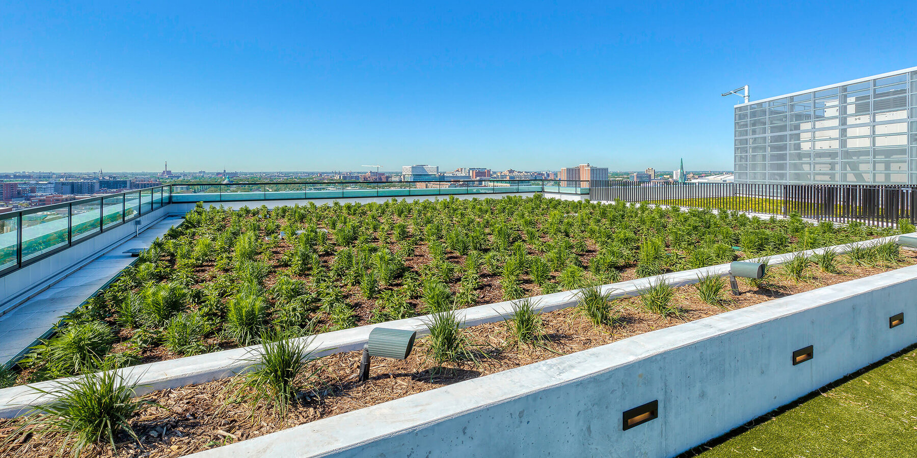 インカジ バカラ科学研究所建設 - フルトン研究所フルトン屋上庭園