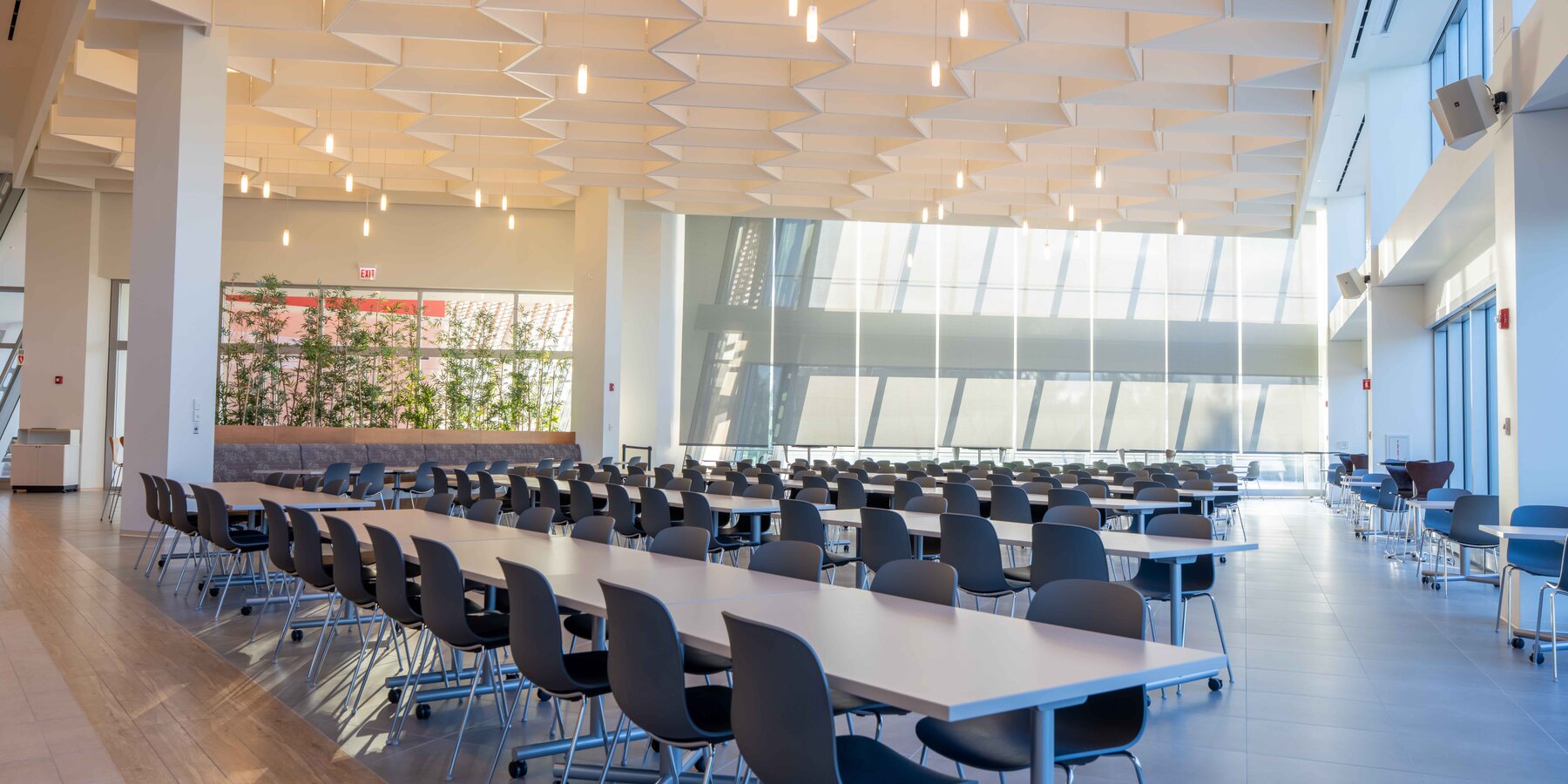 バカラ ルール 簡単製薬