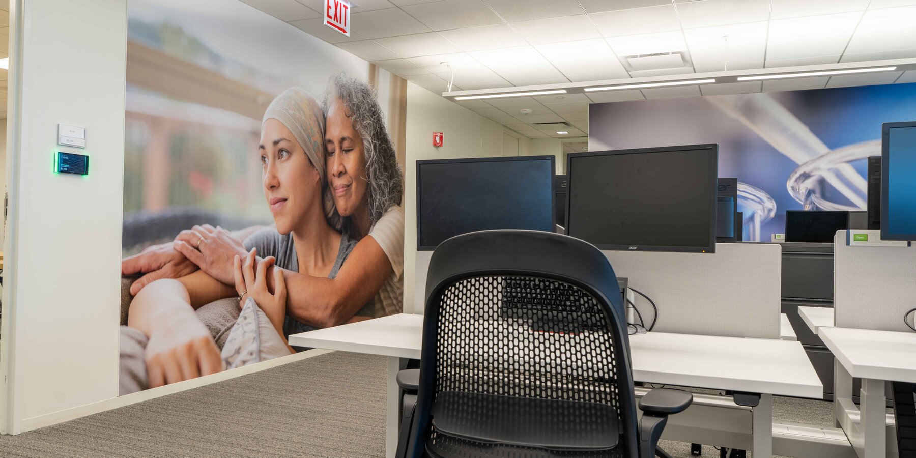 バカラ ルール 簡単製薬