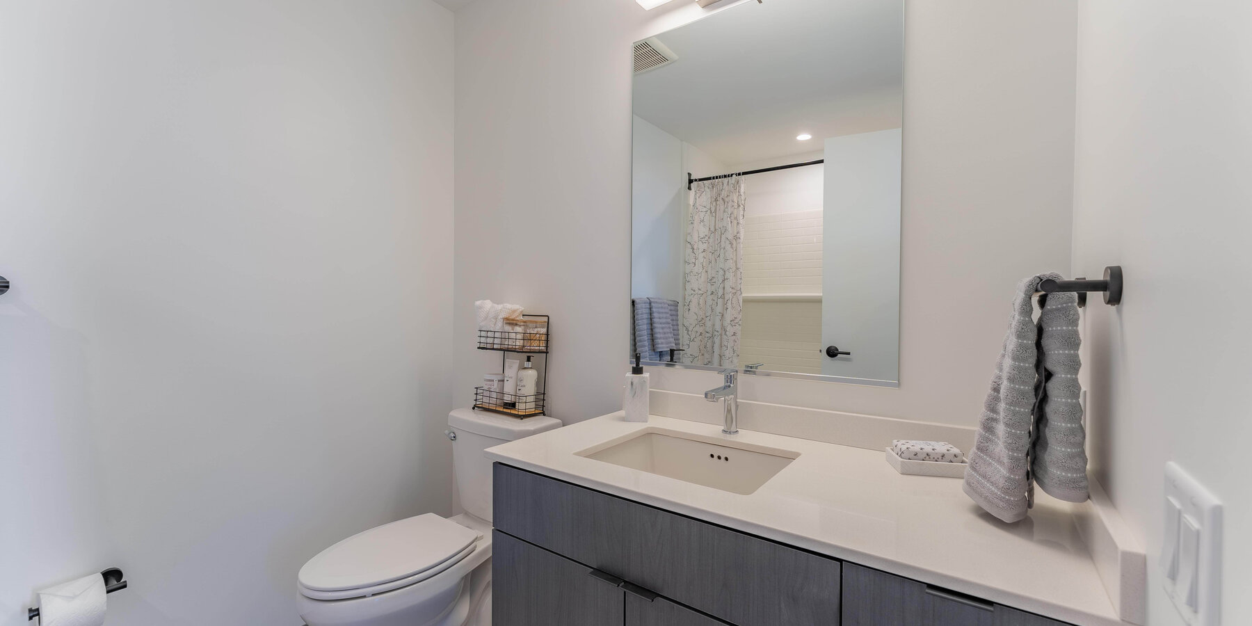 バカラ ドラゴン タイガー族