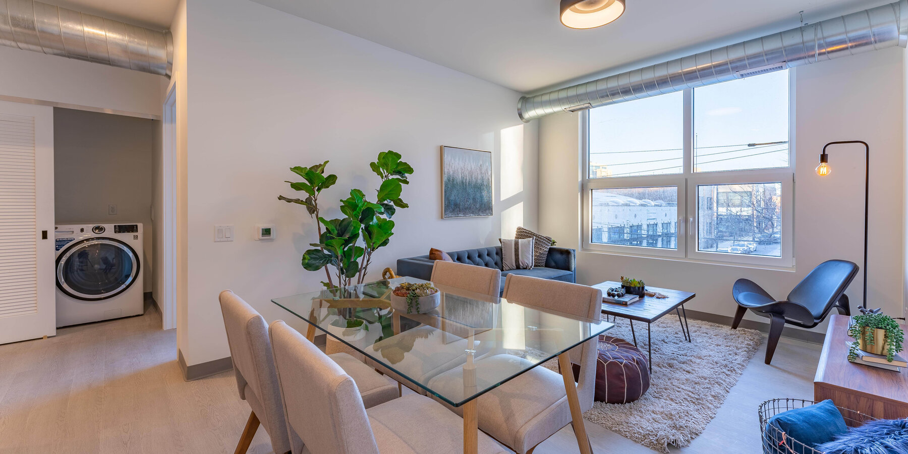 バカラ ドラゴン タイガー族