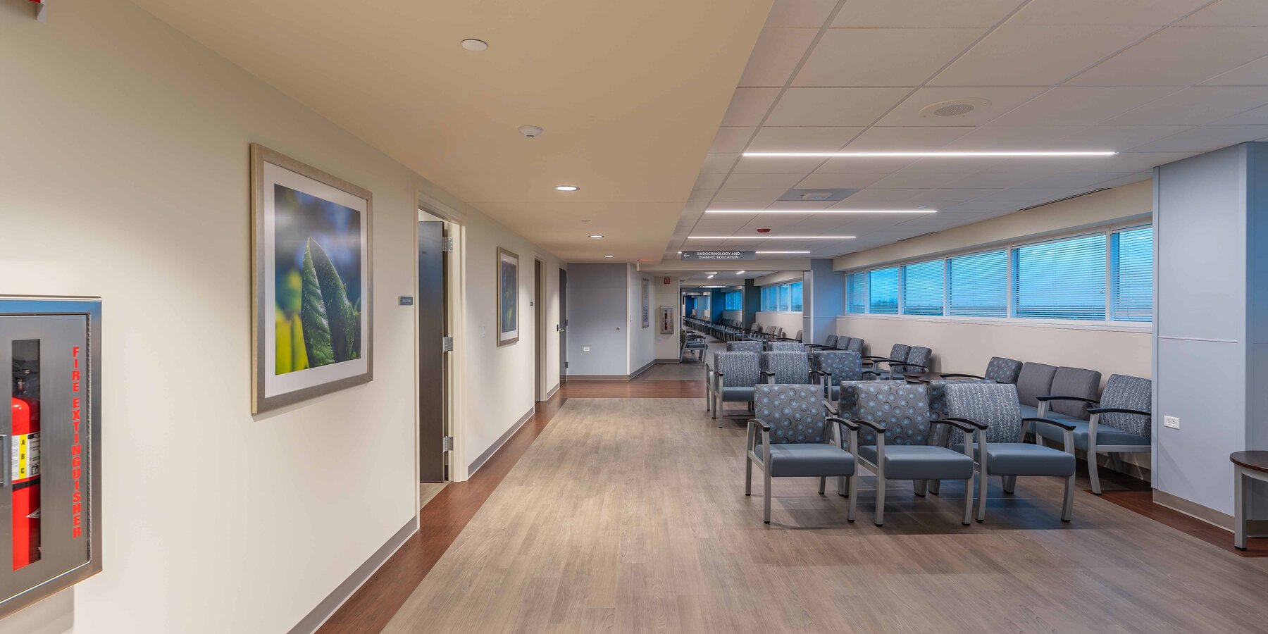 オンライン バカラ 稼げる・コプリー