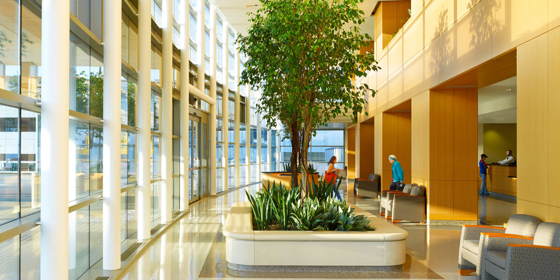 シカゴバカラ オンライン建設会社 - ノースショア スコーキー ロビー アトリウム席