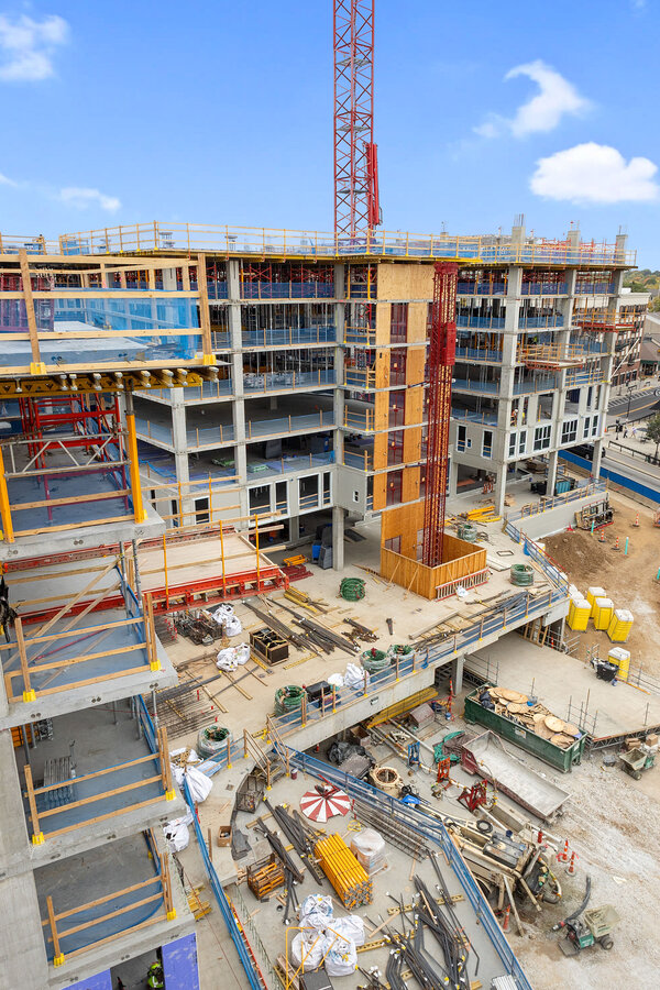 ハブ チョーンシー