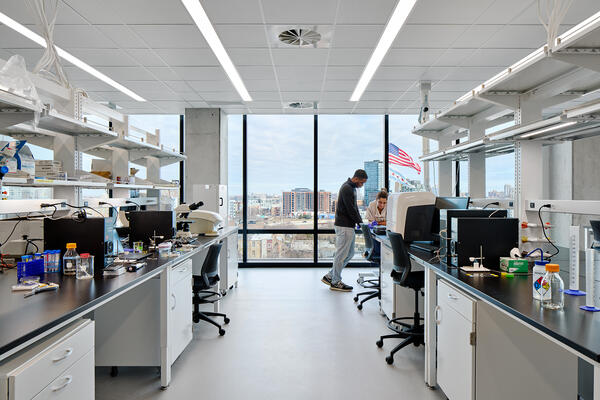 カジノ バカラ CZ バイオハブ